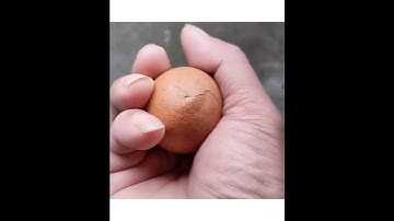 A Cute Chick Coming Out Of Egg😍