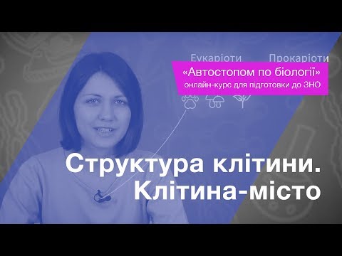 Структура клітини. Клітина-місто – Підготовка до ЗНО – Біологія