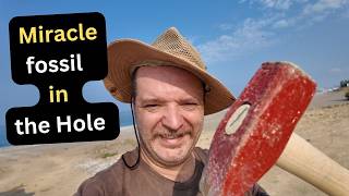 Miracle Fossil And Gem In The Huge Hole