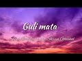 Saad Lamjarred and Shreya Ghoshal - guli mata with english Translation (lyrics)