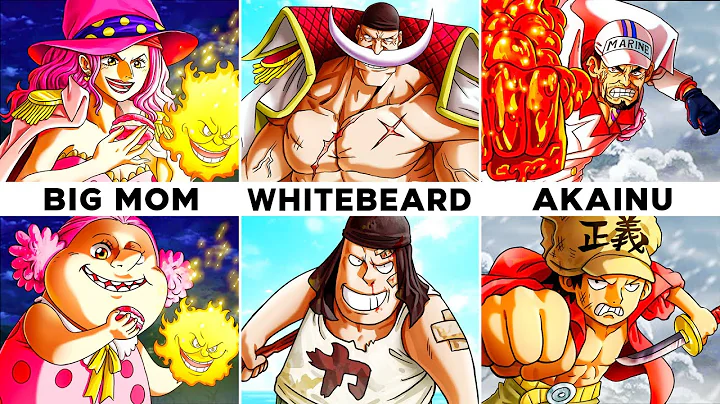 All 82 Backstories in One Piece Explained - DayDayNews