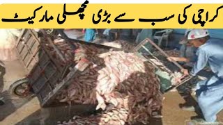 Karachi Fishery Largest Fish Market | Export Quality Fish &amp; seafood Visit Market | Vlogs Guide