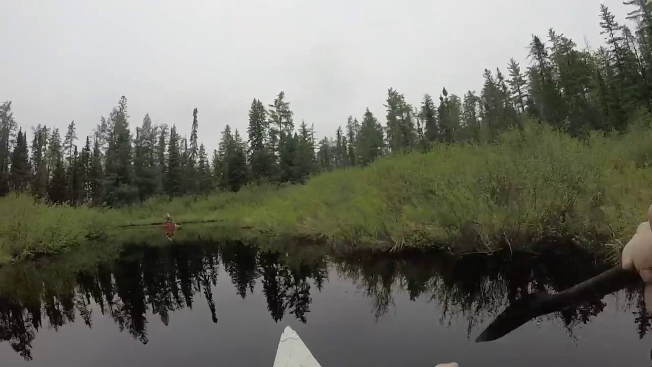 Boundary WatersPaddle Into Bald Eagle Lake YouTube