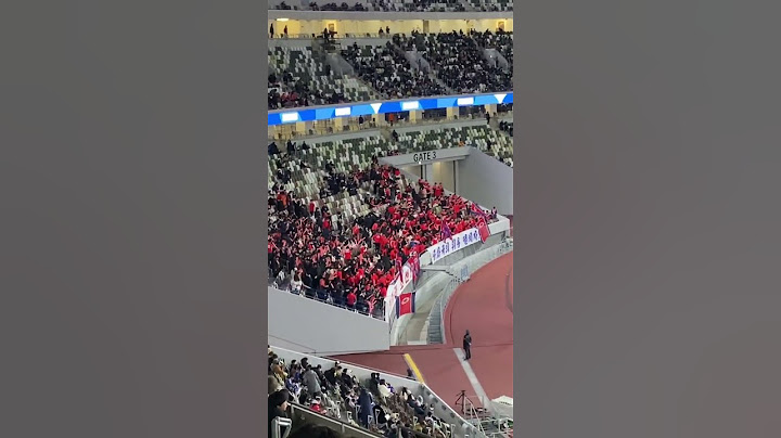 サッカー日本代表VS北朝鮮代表
