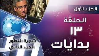 برنامج بدايات الحلقة الثالثة عشر 
