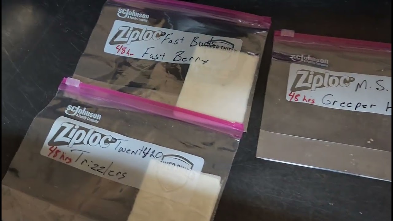 Side by Side Genetics grow.