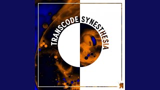 Synesthesia Guide