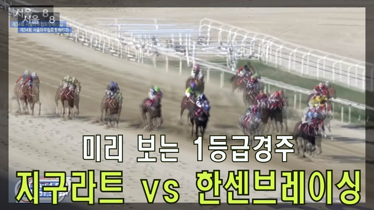 [경마 예상 방송 원석 경마] 미리 보는 2026년 8월 9일 일요일 서울10경주 1등급 1200M 경주!!!