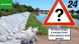 Наводнения – проблема рукотворная: возможно ли управлять водными ресурсами эффективно? | Экологика