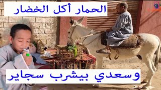 الحمار أكل الخضار وسعدى بيشرب سجاير ضحك مسخرة كوميديا هادفة