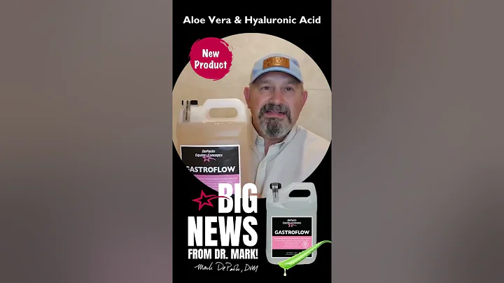 Words From Dr Mark GastroFlow reel 73sec