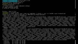 OBDII Linux Tool