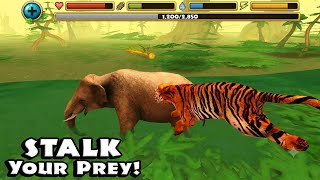 Tiger Simulator (By Gluten Free Games) - [4K 60FPS Max Settings]