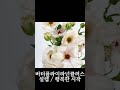 꽃 고르기 전에 이영상 꼭 보세요!