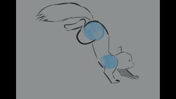 squirrel run cycle animation