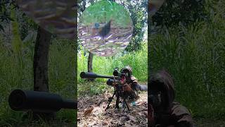 Download Lagu sekali panggilβΌοΈayam hutan hijau langsung mendekatπ± #berburuterbaru #shortvideo #short #shorts MP3 Download Lagu sekali panggilβΌοΈayam hutan hijau langsung mendekatπ± #berburuterbaru #shortvideo #short #shorts MP3