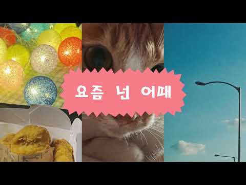 팻티겐(팻두,스티,원써겐) - 3곡 모음 !!! (10분 20초)