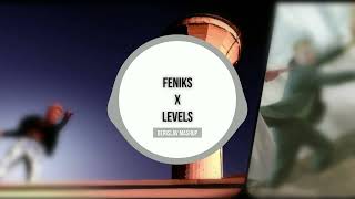 Colonia - Feniks x Avicii - Levels (Berislav Mashup) [Feniks iz Levela]