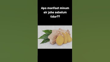 Manfaat Minum Jahe Sebelum Tidur #shorts #jahe