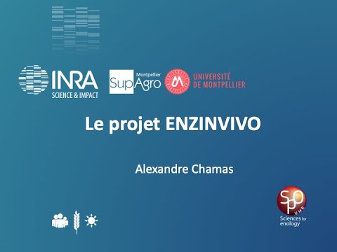 Le projet ANR Enzinvivo
