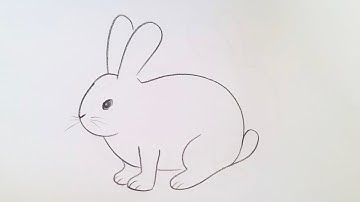 how to draw rabbit drawing easy step by step@DrawingTalent