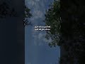 ايه ابتسم بسمتك تحييني ياسر الشهراني تصميم خورافي على الطبيعه
