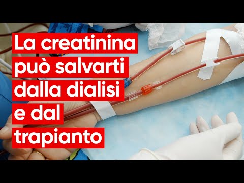 Video: 4 semplici modi per conoscere il tuo livello di creatinina