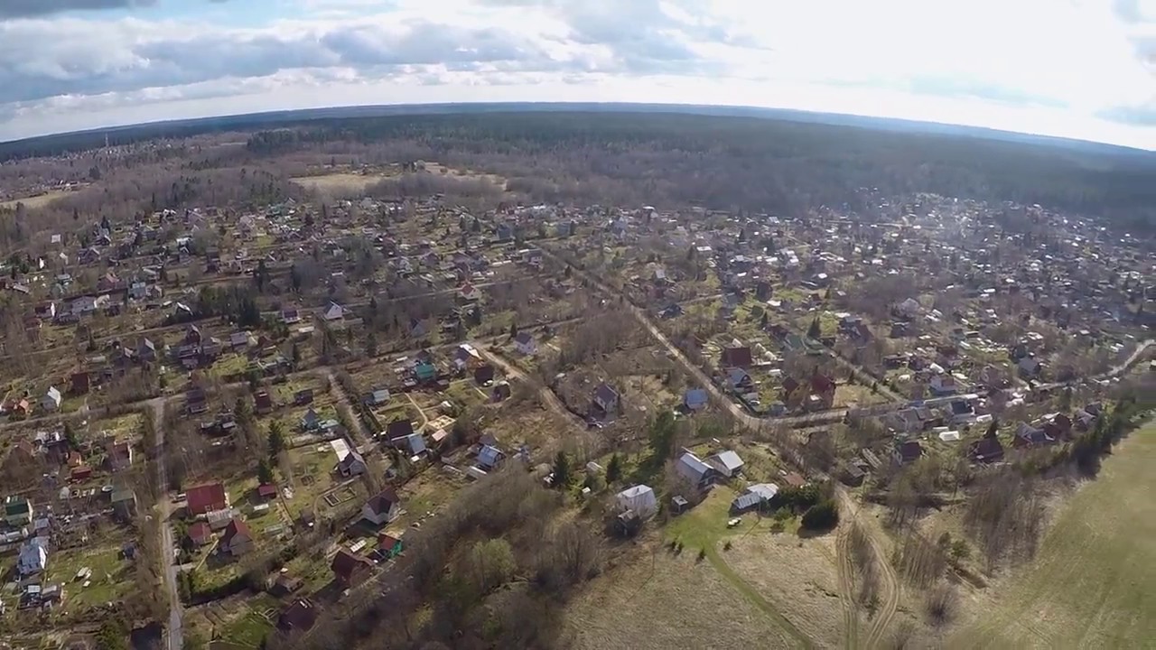 Погода сосново ленинградская завтра