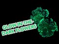 Fluorescent flowers