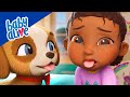 Baby Alive Official 🐶 Dolls Surprise Pet Puppy 🐶 Kids Videos and Cartoons 💕