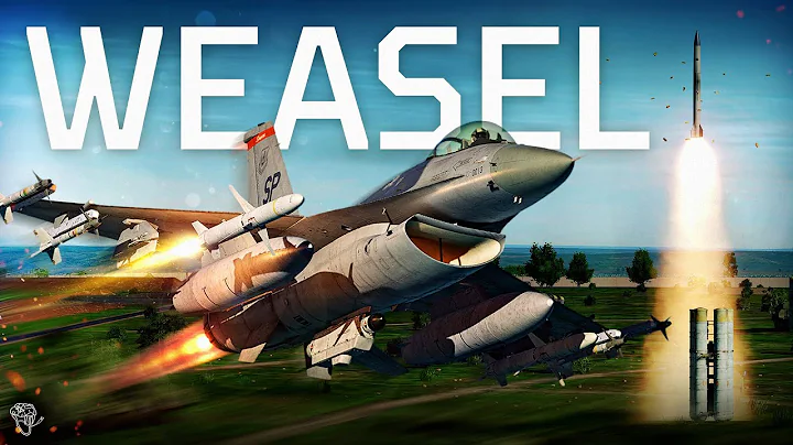DCS WEASELS OVER GERMANY | F-16C Viper