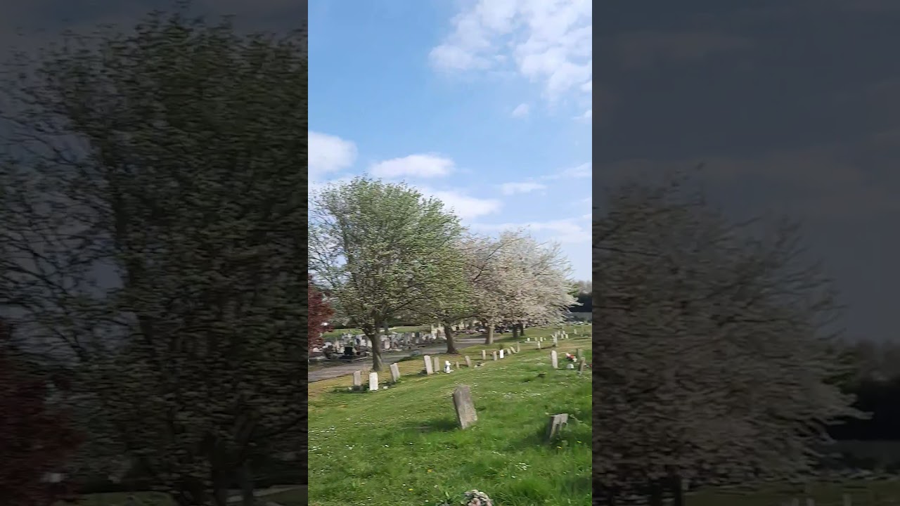 THE GRAVE OF ELIZABETH STRIDE (Jack the Ripper victim)