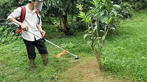 Máy phát cỏ đeo lưng  143 _lắp bát cước và hiệu quả công việc, ☎0976 555 562