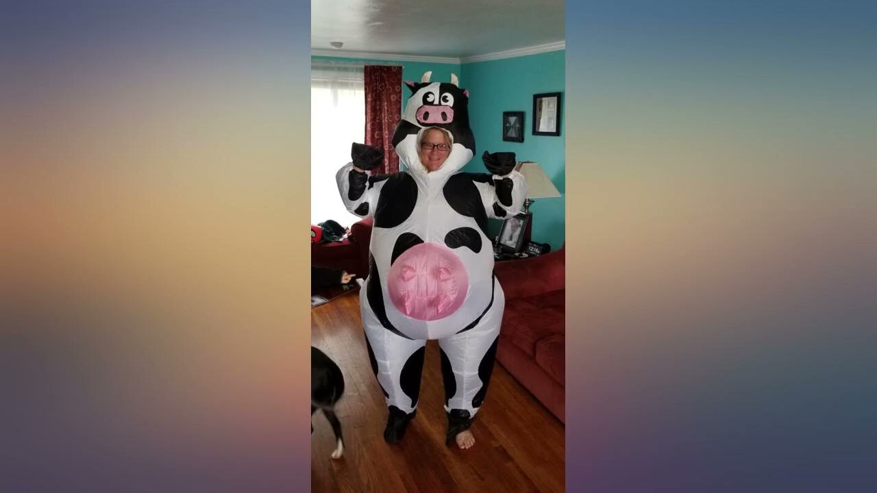Spooktacular Creations Inflatable Costume Air Blow-up Deluxe Halloween Cow Costume revieww