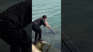 catching crab with chicken crab crabs life fishing sea seafish fish net hobby cookfish