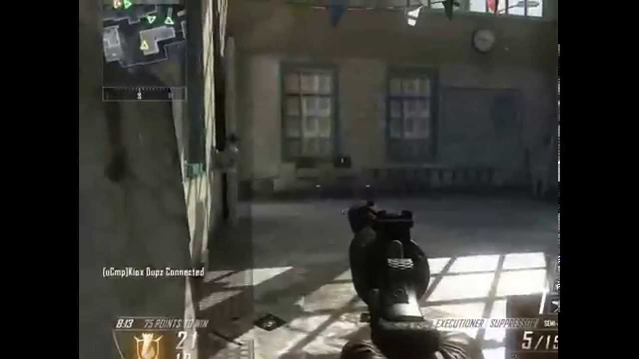 Silenced DSR and Executioner cod bo2