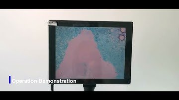 OPTO-EDU A33 1502 9.7" LCD Touch Screen Digital Microscope, 5.0M, Android Pad