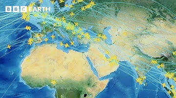From Takeoff To Landing: The Fascinating World Of Aviation | BBC Earth Science