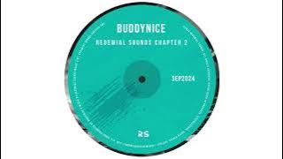 Buddynice - Endless Echoes (Redemial Sounds)