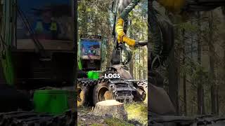 THIS MACHINE EATS ENTIRE TREES IN UNDER A MINUTE