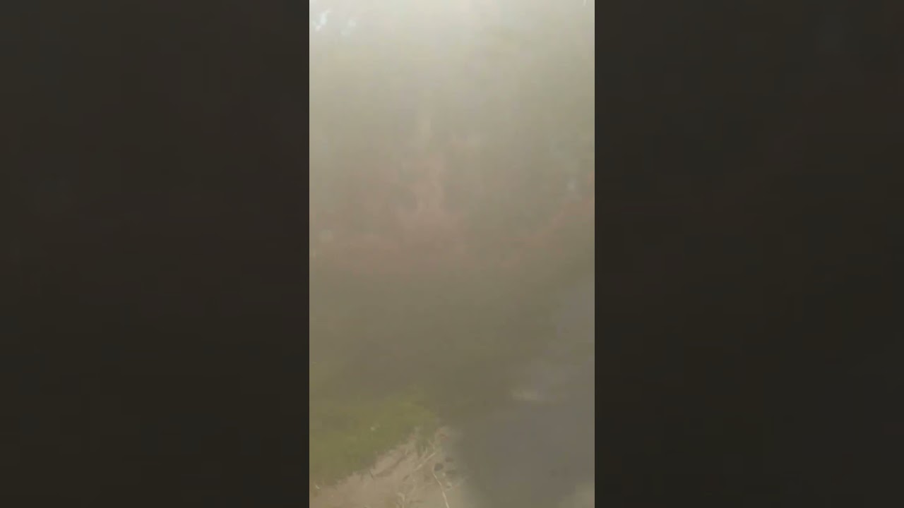 Энгельсский район