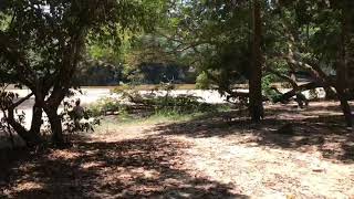 Sri Lanka - Kumana National Park screenshot 5