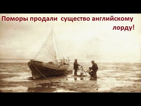 Видео: Поморы Архангельска столкнулись со странной тварью в море