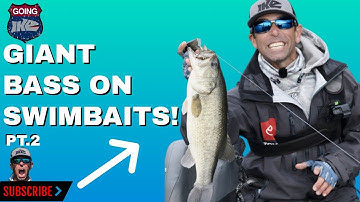 GIANT BASS on SWIMBAITS! (PT.2)