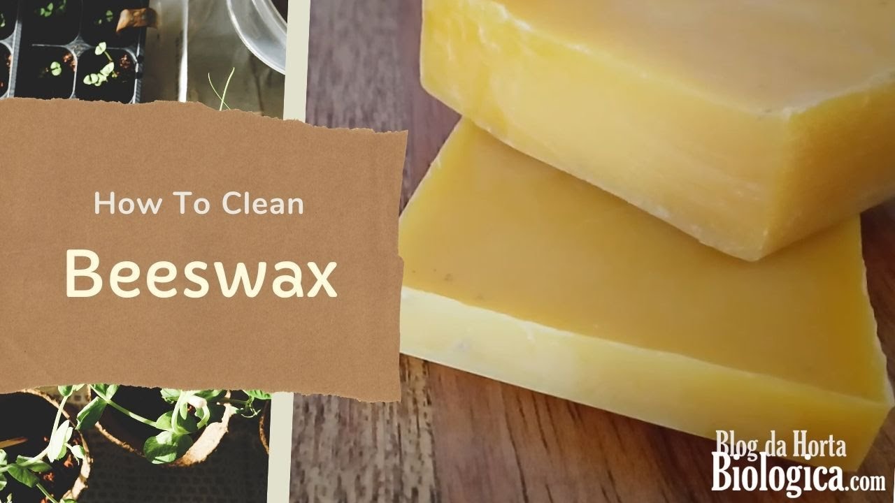 How To Clean Beeswax - Melting, Filtering, and Storing 