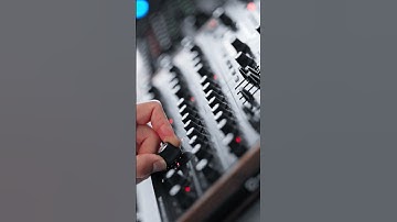 Your Daily Dose Of Reverb 2 #synth #strymon #empresseffects #rolandfp30 #novationpeak #dawless