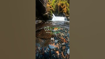 📖سورة مريم 🎙️عبد الرحمن مسعد