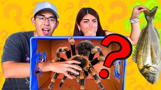 Que Hay En La Caja? Ft.