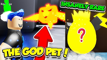 I ACTUALLY GOT THE RAREST GOD PET IN DASHING SIMULATOR UPDATE!! (Roblox)