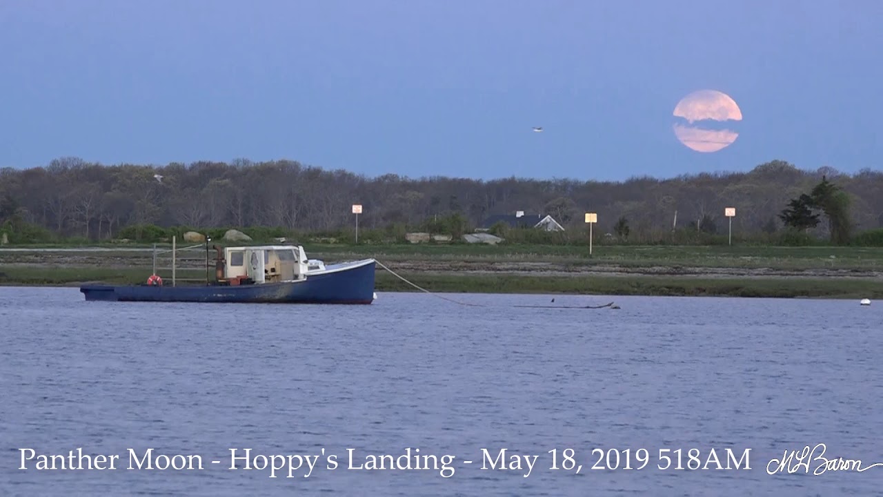 Panther Moon Hoppys Landing May 18, 2019 518AM Fairhaven, MA